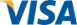 Visa payment logo
